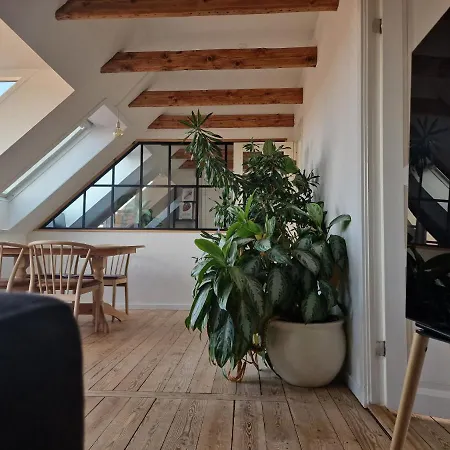 דירה Penthouse *