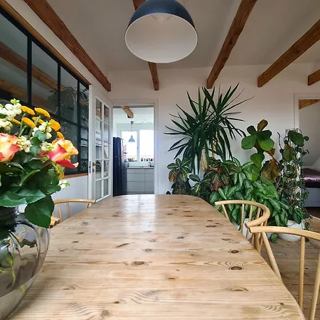 Apartment Penthouse