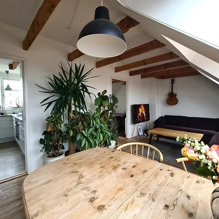 Penthouse Apartment *