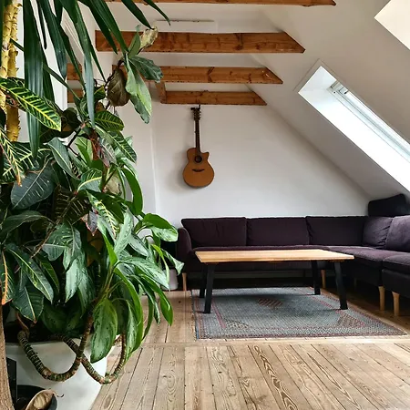 Apartment Penthouse *